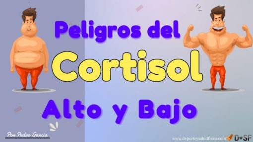 ¿Cómo bajar el cortisol?